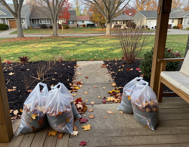 Two bags of fallen leaves on a porch facing a suburban yard in autumn.