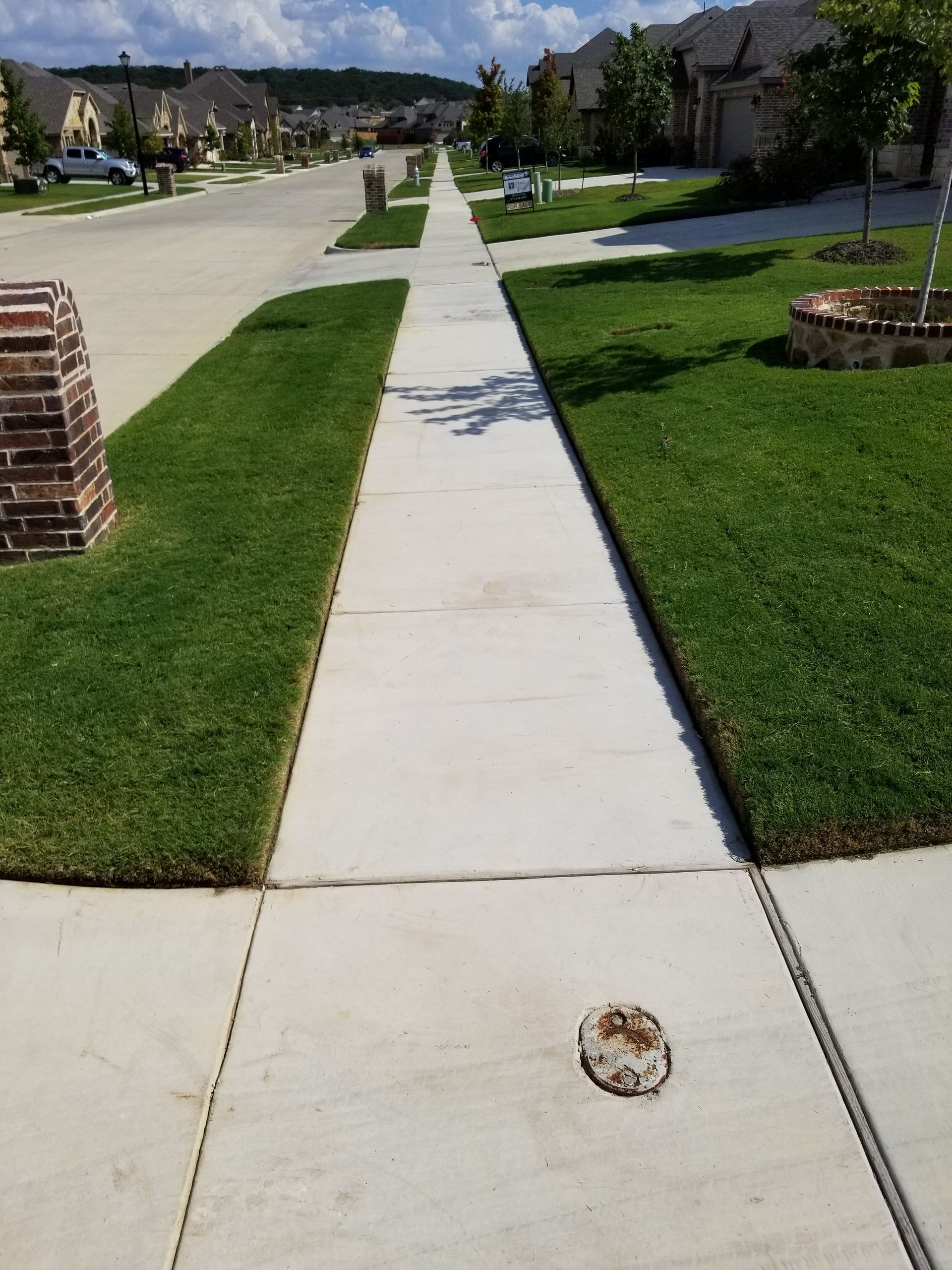 Suburban sidewalk lined with green lawns and houses on a sunny day