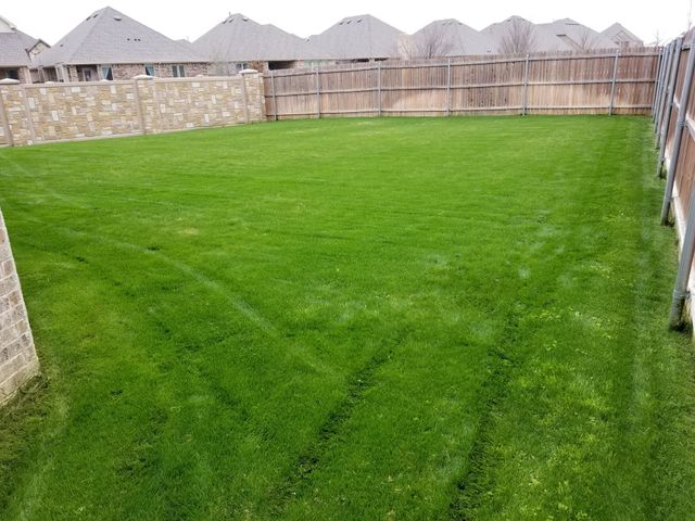 Empty green backyard lawn enclosed by a stone wall and wooden fence under overcast sky