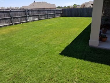 Sunny backyard with green lawn, wooden fence, and a shaded patio corner beside a house
