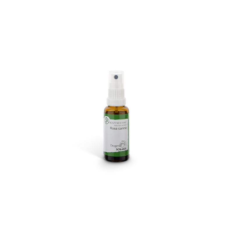 Knospenessenz Hagebutte - Rosa can. 30ml