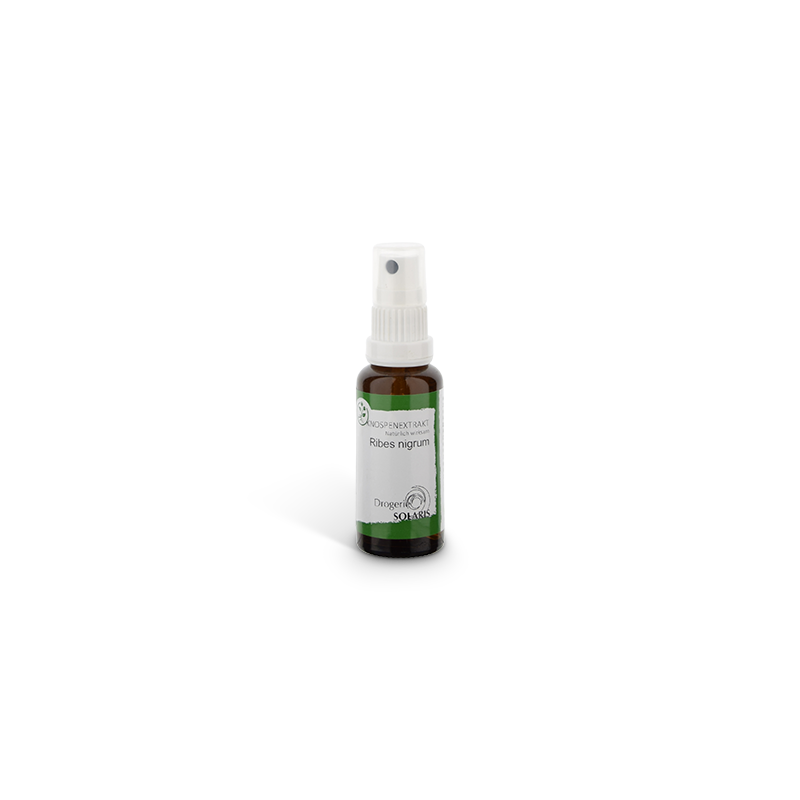 Knospenessenz Johannisbeer - Ribes nig. 30ml