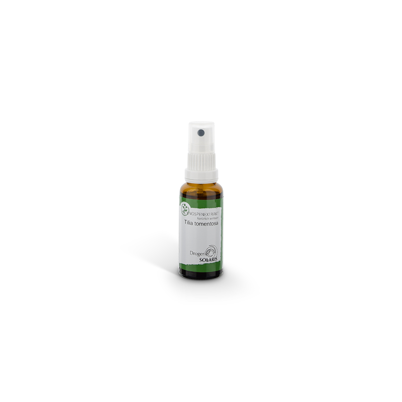 Knospenessenz Linde - Tilia tom. 30ml