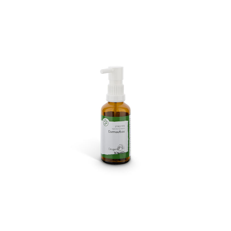 Darmaufbau 50ml