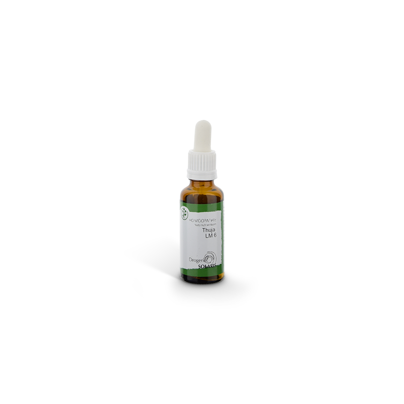Thuja LM-Potenz 20ml