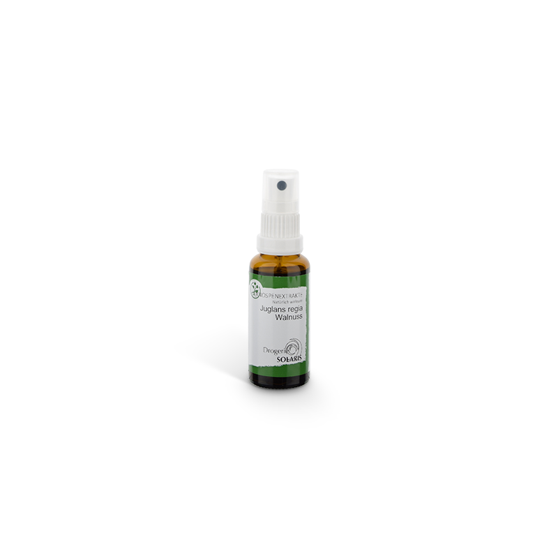 Knospenessenz Walnuss - Juglans reg. 30ml