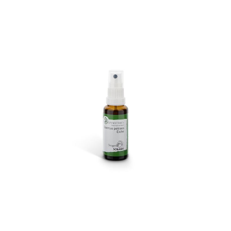 Knospenessenz Eiche - Quercus petra 30ml