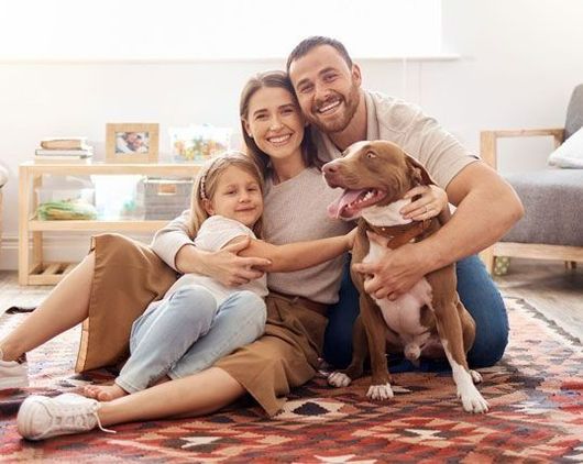 Air Quality & Ductwork Services Air Quality & Ductwork Services