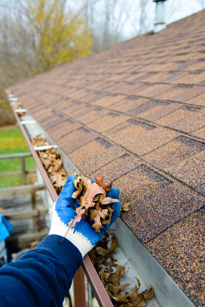 A Person Is Cleaning A Gutter Of Leaves From A Roof