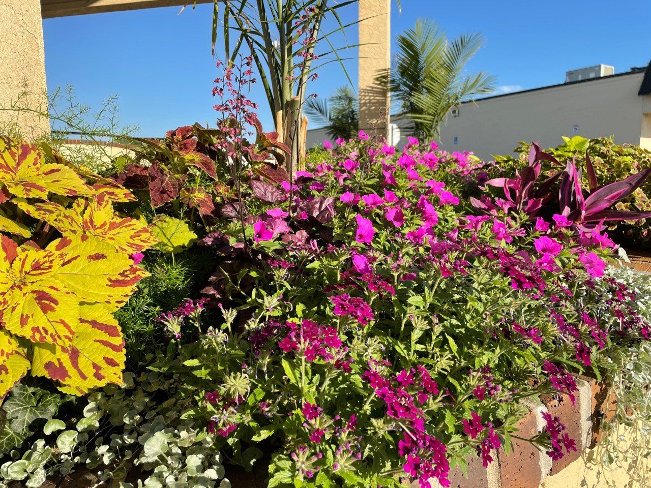The Flowers at Fairlawn Plaza Shopping Center, Topeka KS
