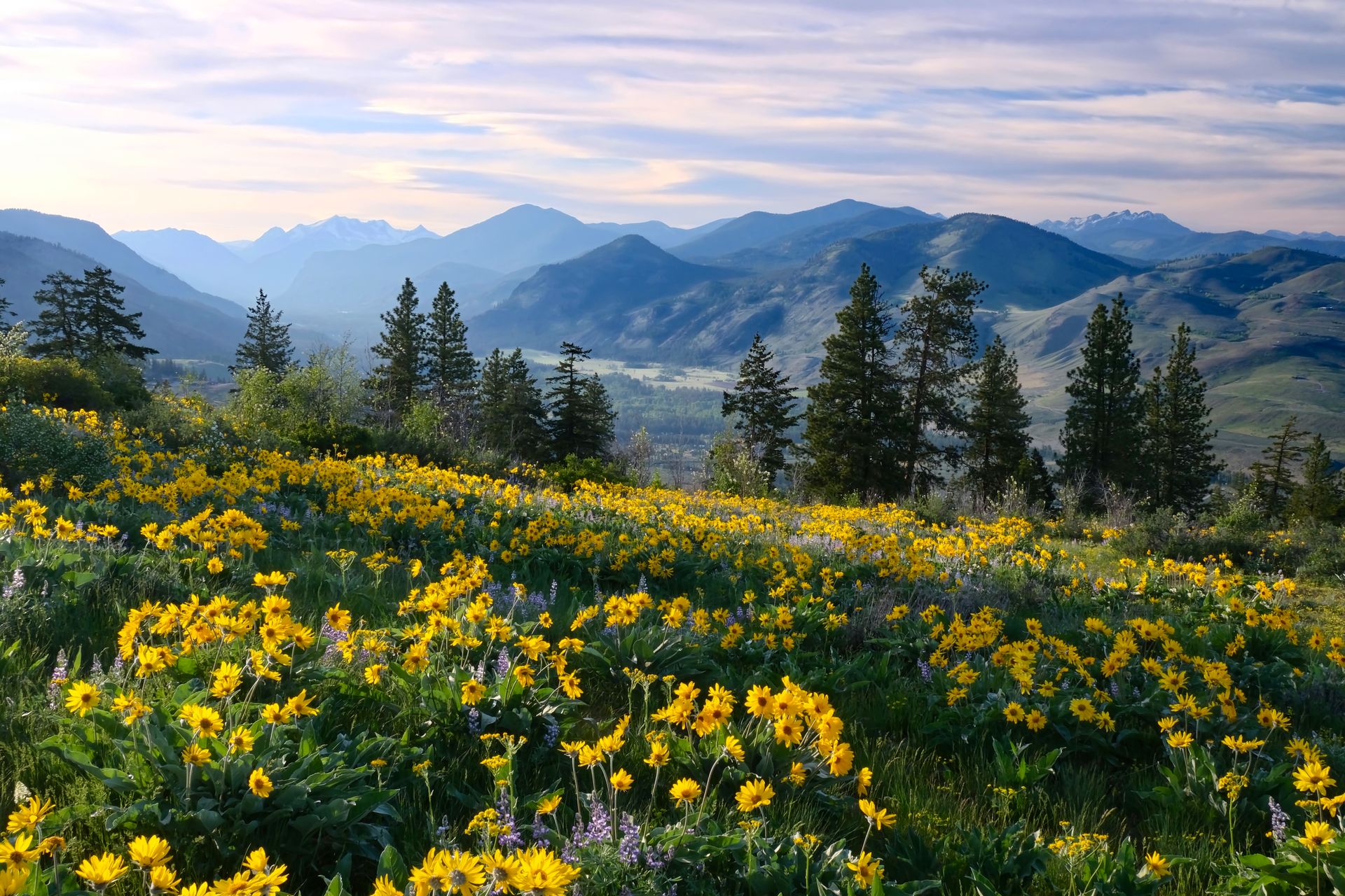 Spring Washington Things to Do | Freestone Inn