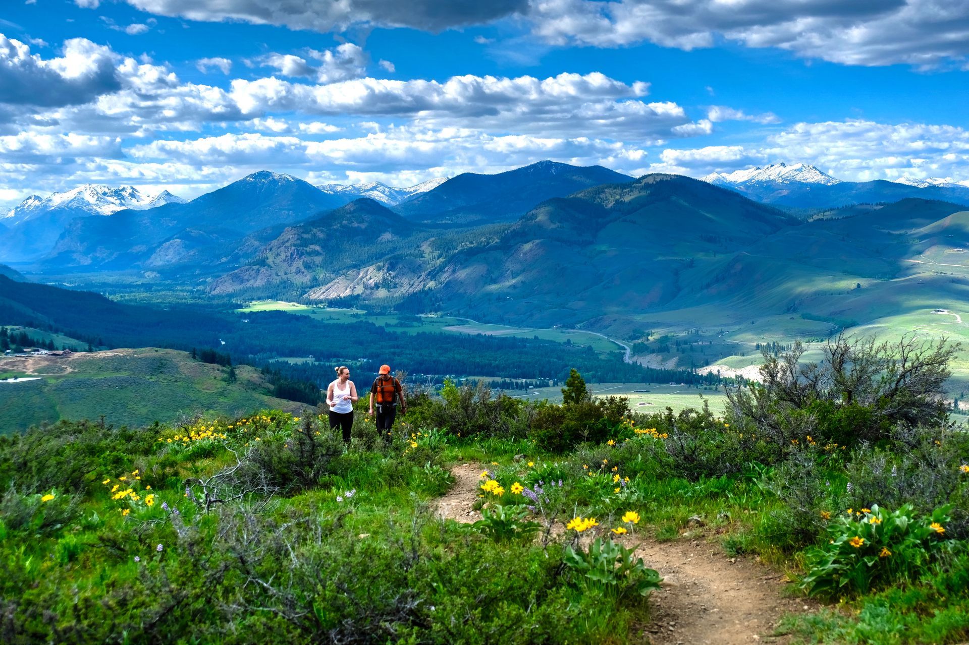 Hikers on a mountain trail overlook a valley and distant snow-capped mountains under a blue sky.