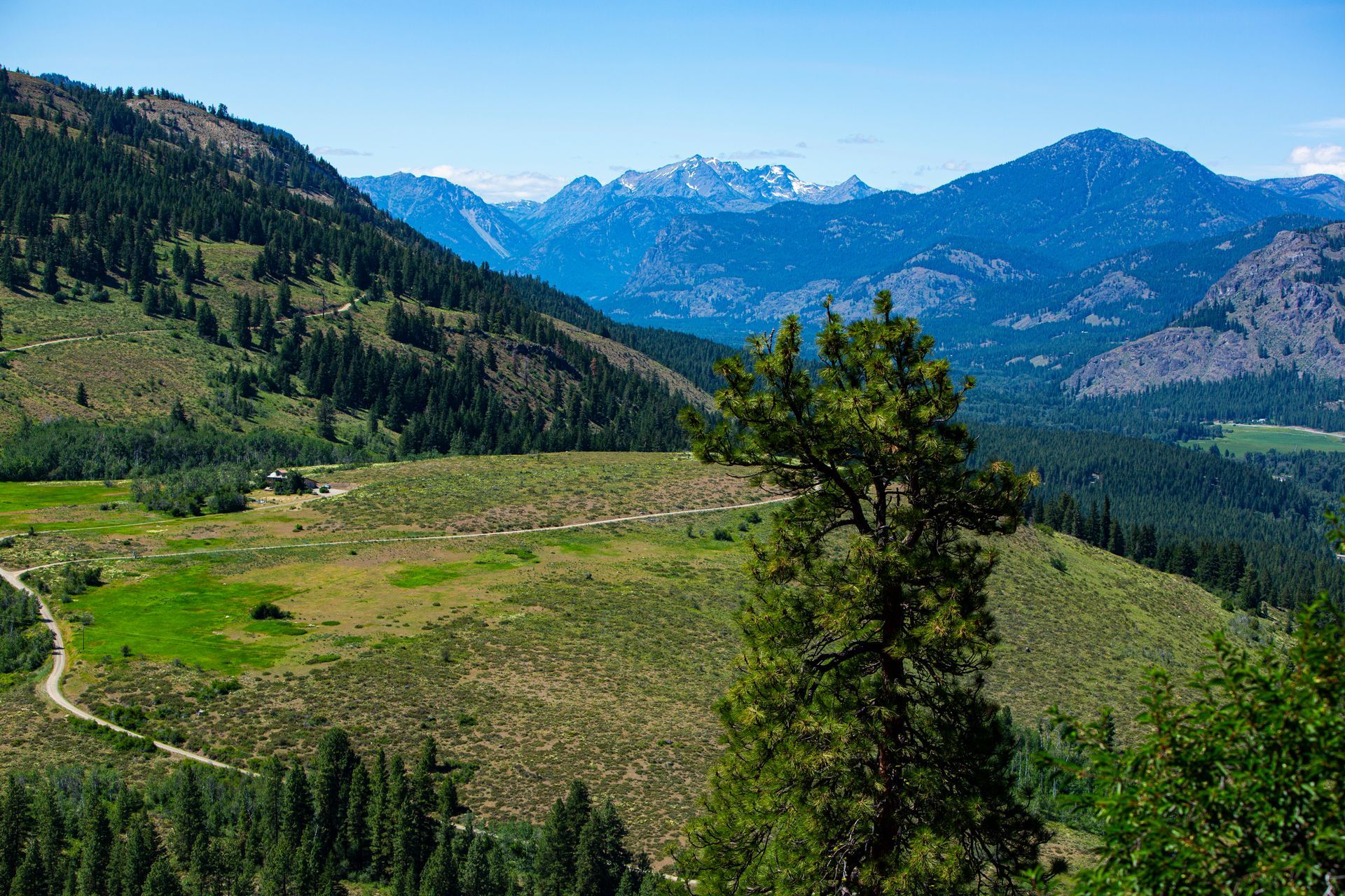 A view of a valley with mountains in the background and trees in the foreground.
