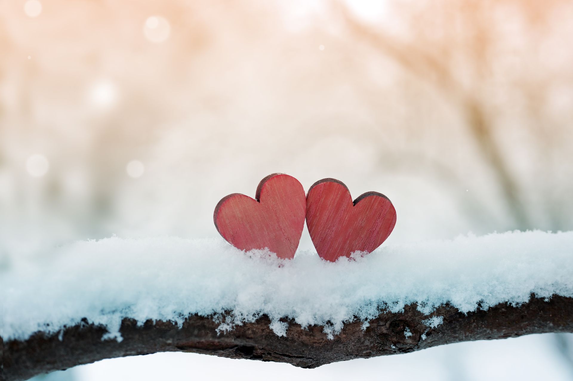 Two red hearts resting on a snow-covered branch with a soft blurred winter background