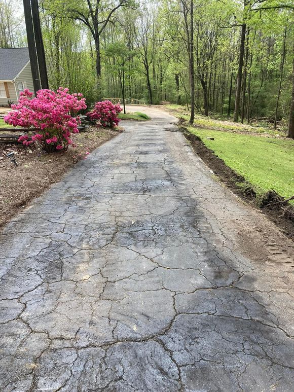A cracked, weathered asphalt driveway leads through a wooded area with vibrant pink bushes on the left A cracked, weathered asphalt driveway leads through a wooded area with vibrant pink bushes on the left
