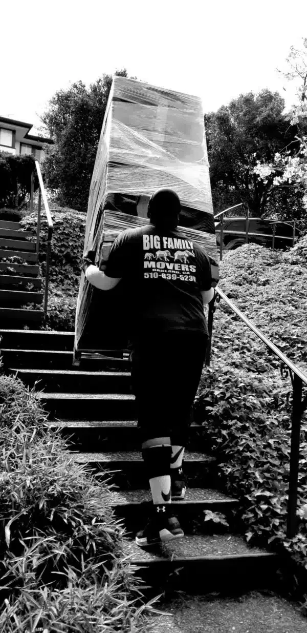 Person carrying a large rolled mat up outdoor stone steps, seen from behind.