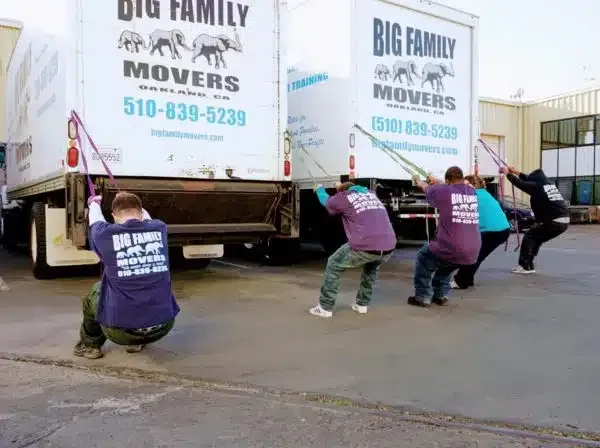 Movers in purple shirts pulling a Big Family Movers truck with ropes outdoors