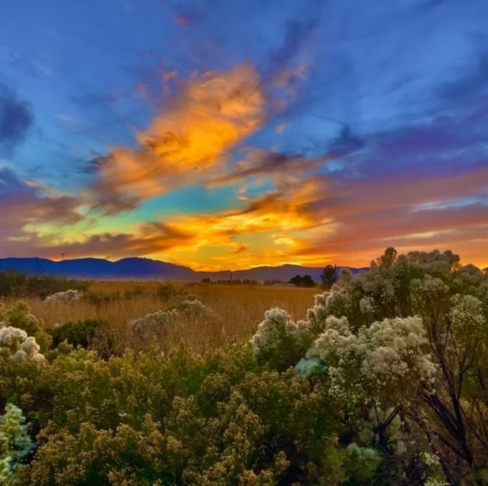 Colorful sunset over mountains and shrubs, with orange clouds and a blue sky