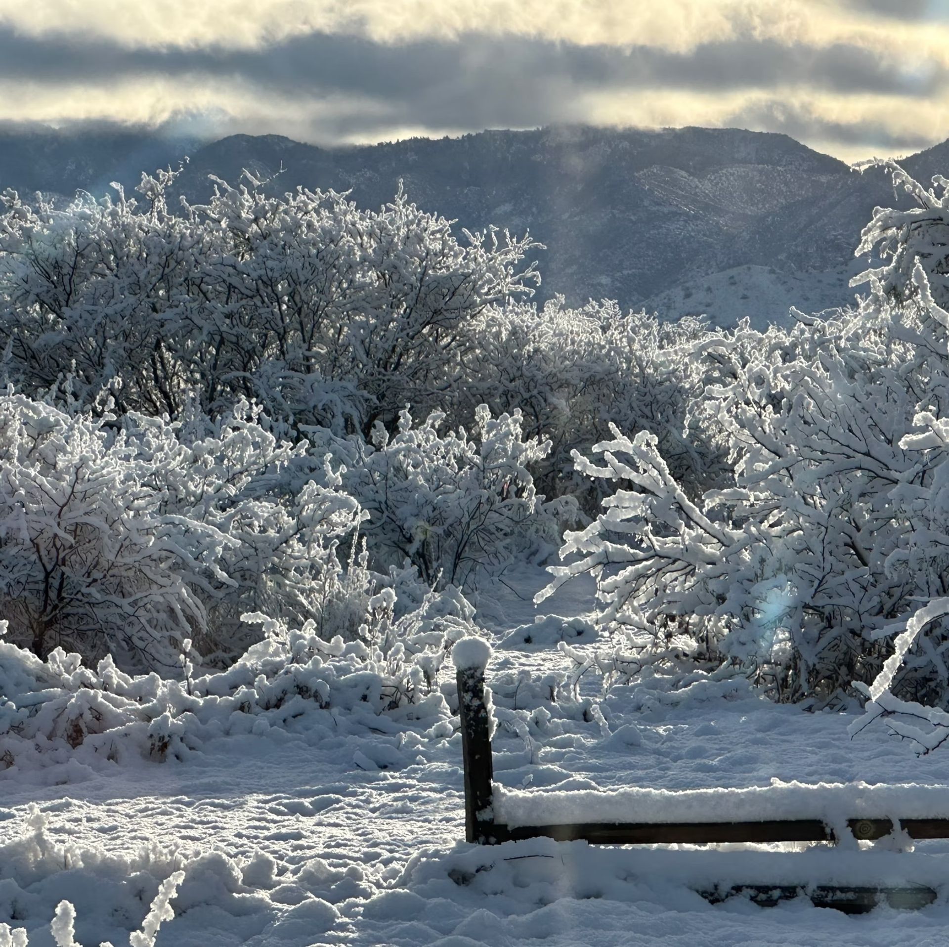 Snow-covered trees and mountains under cloudy sky, with a snowy fence in the foreground