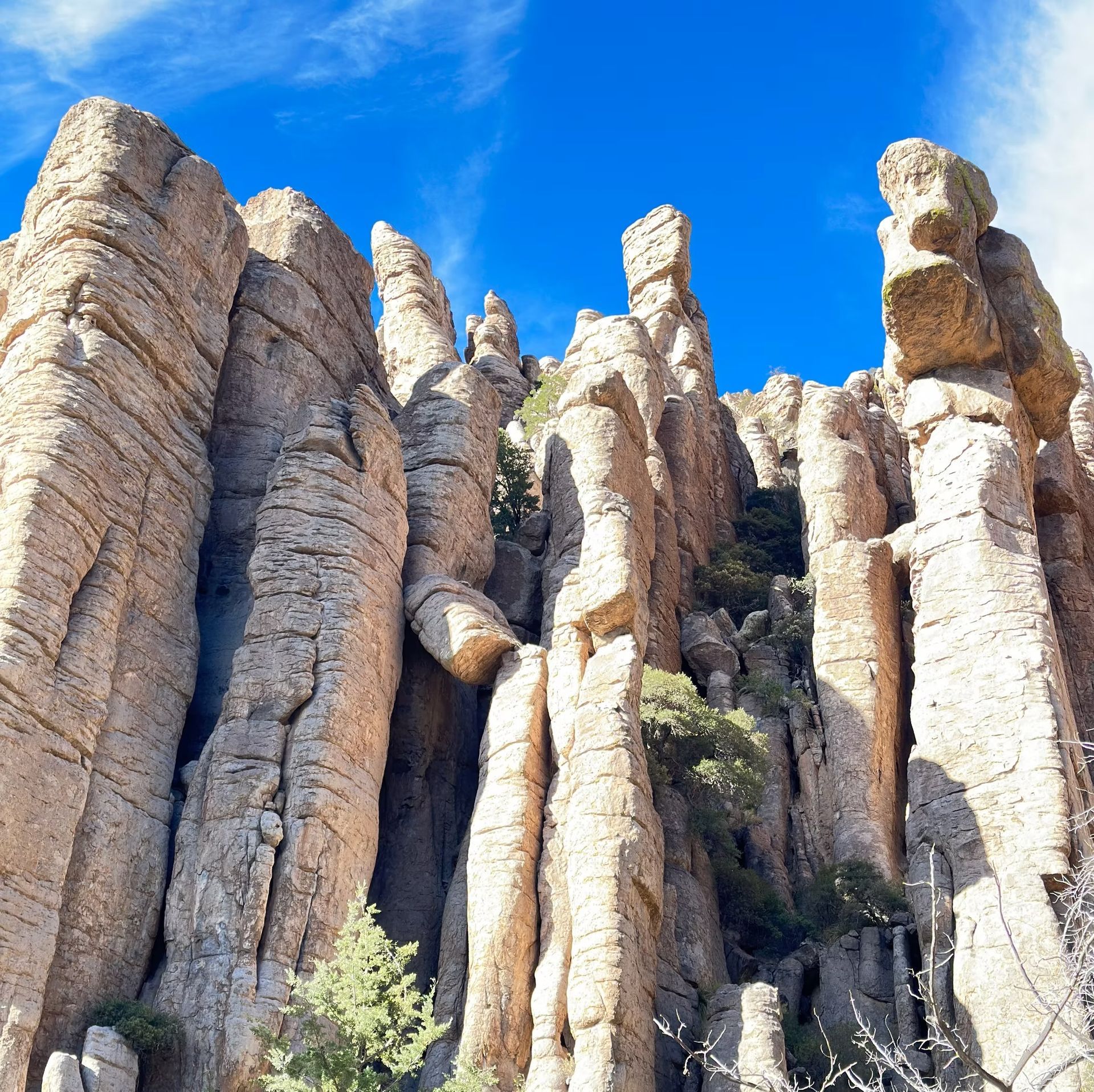 Tall sandstone rock formations under a bright blue sky with sparse desert vegetation