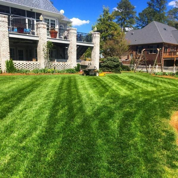 Lush green lawn in front of a stone house and wooden cabin under a bright blue sky.