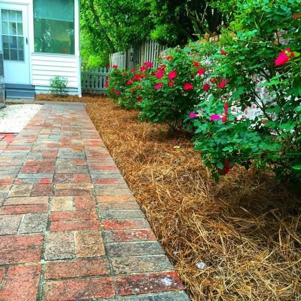 Brick walkway beside a house, bordered by mulch and blooming pink flowers in a green garden