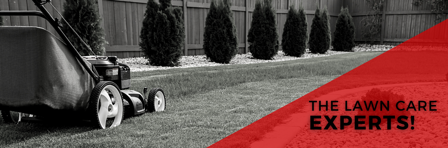 Lawn mower on grass beside a red banner reading “THE LAWN CARE EXPERTS!”