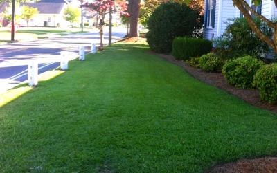 Suburban front lawn beside a white fence and house, with green grass and bushes along the walkway.