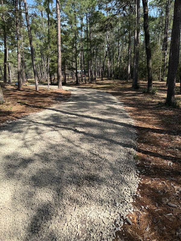 A dirt road in the middle of a forest surrounded by trees.