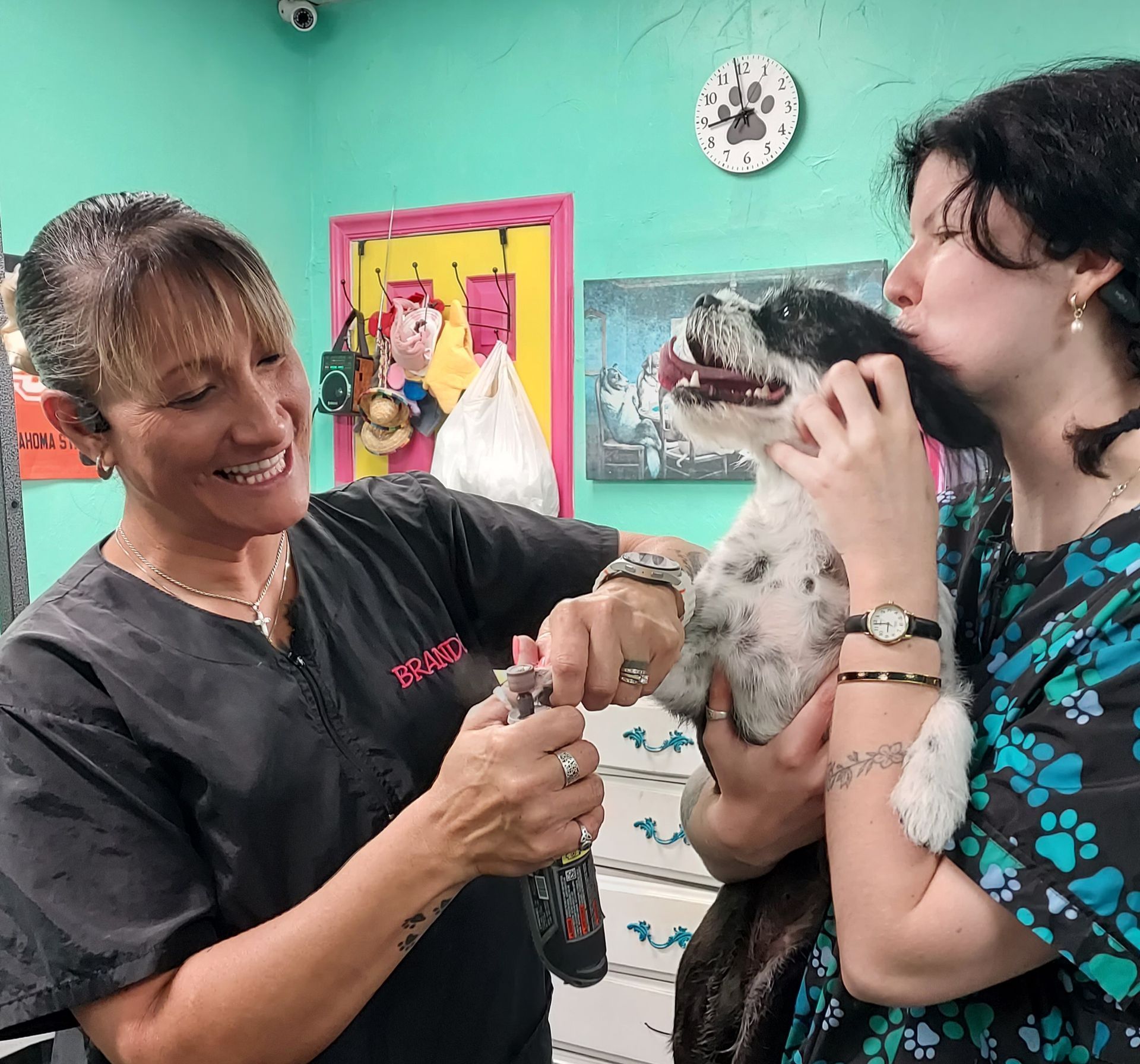 A person is cutting a dog 's nails with scissors.