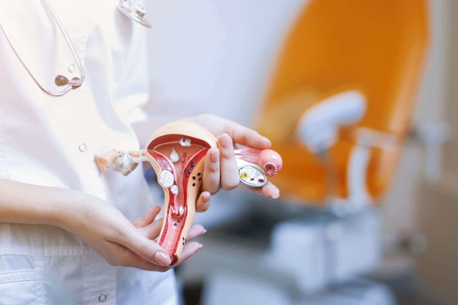 Medical professional holding a detailed model of a uterus in a clinical examination room.