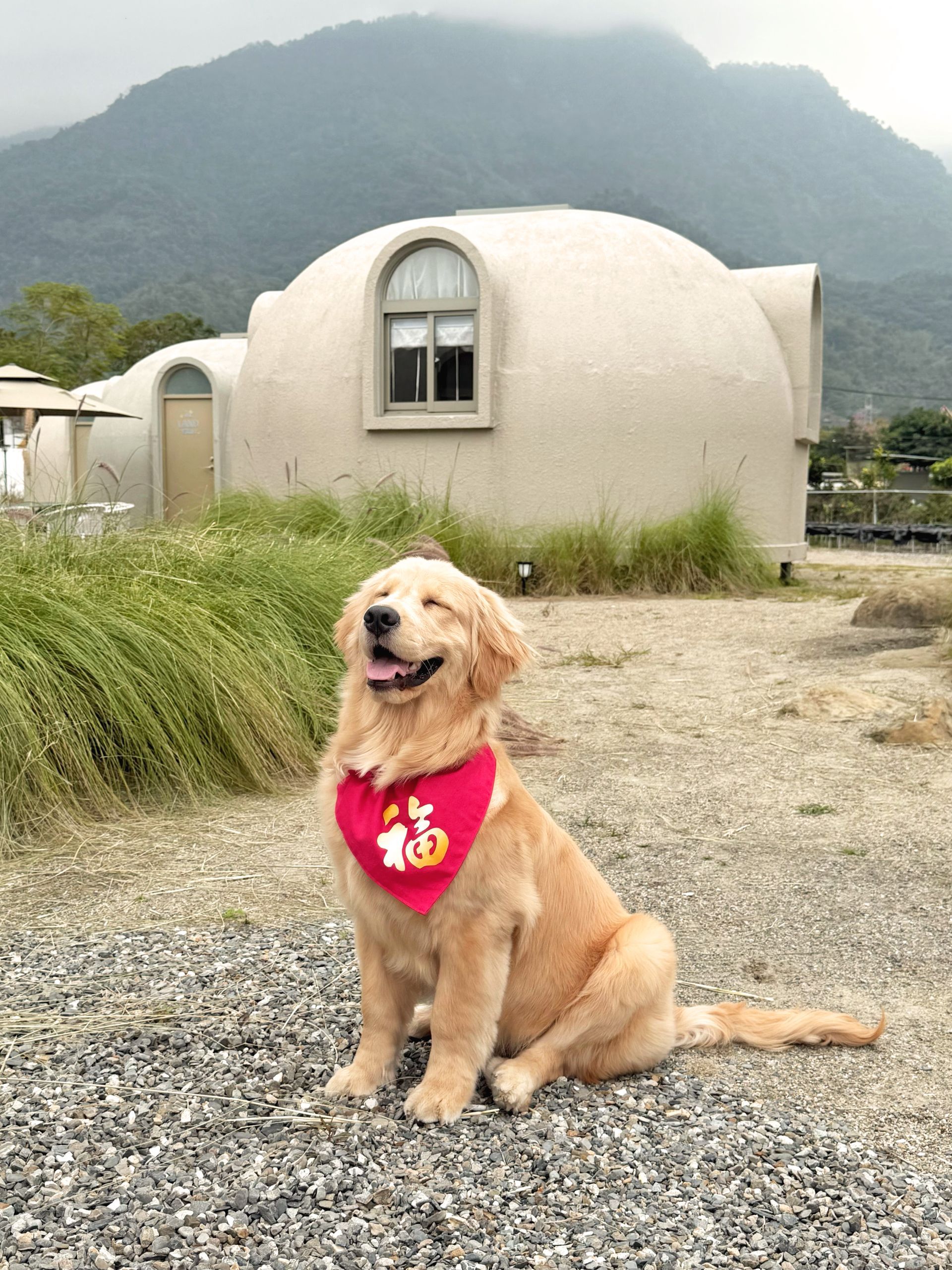 波希謐境 寵物友善住宿 | 南投免裝備露營區 | 南投寵物露營 | 中部露營區推薦 | 中部寵物懶人露營區
