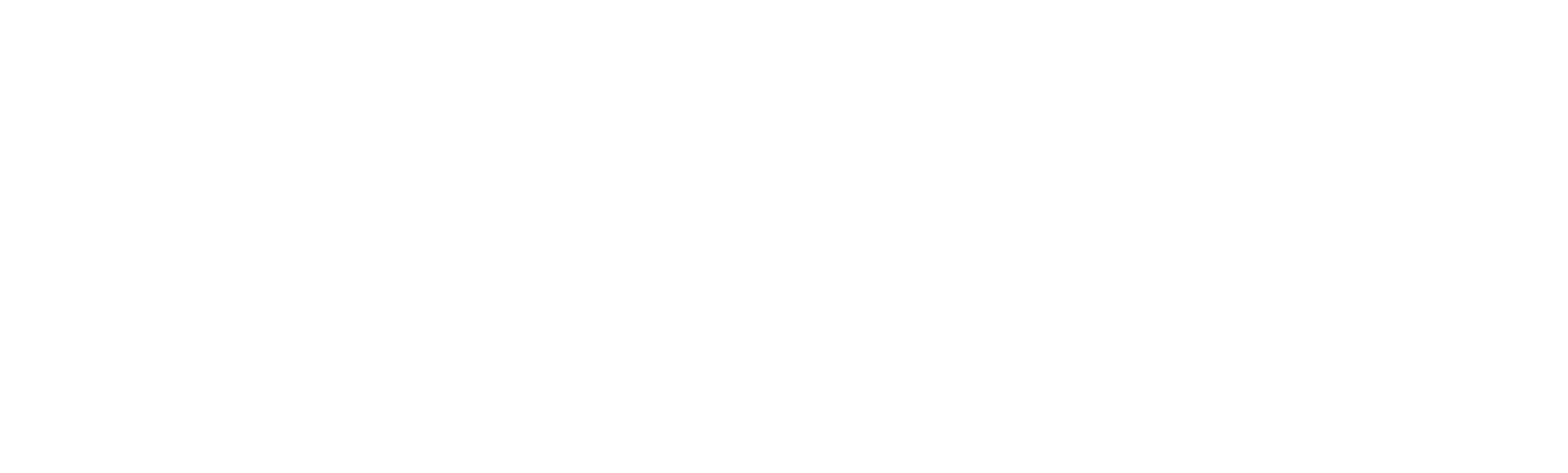logo-image