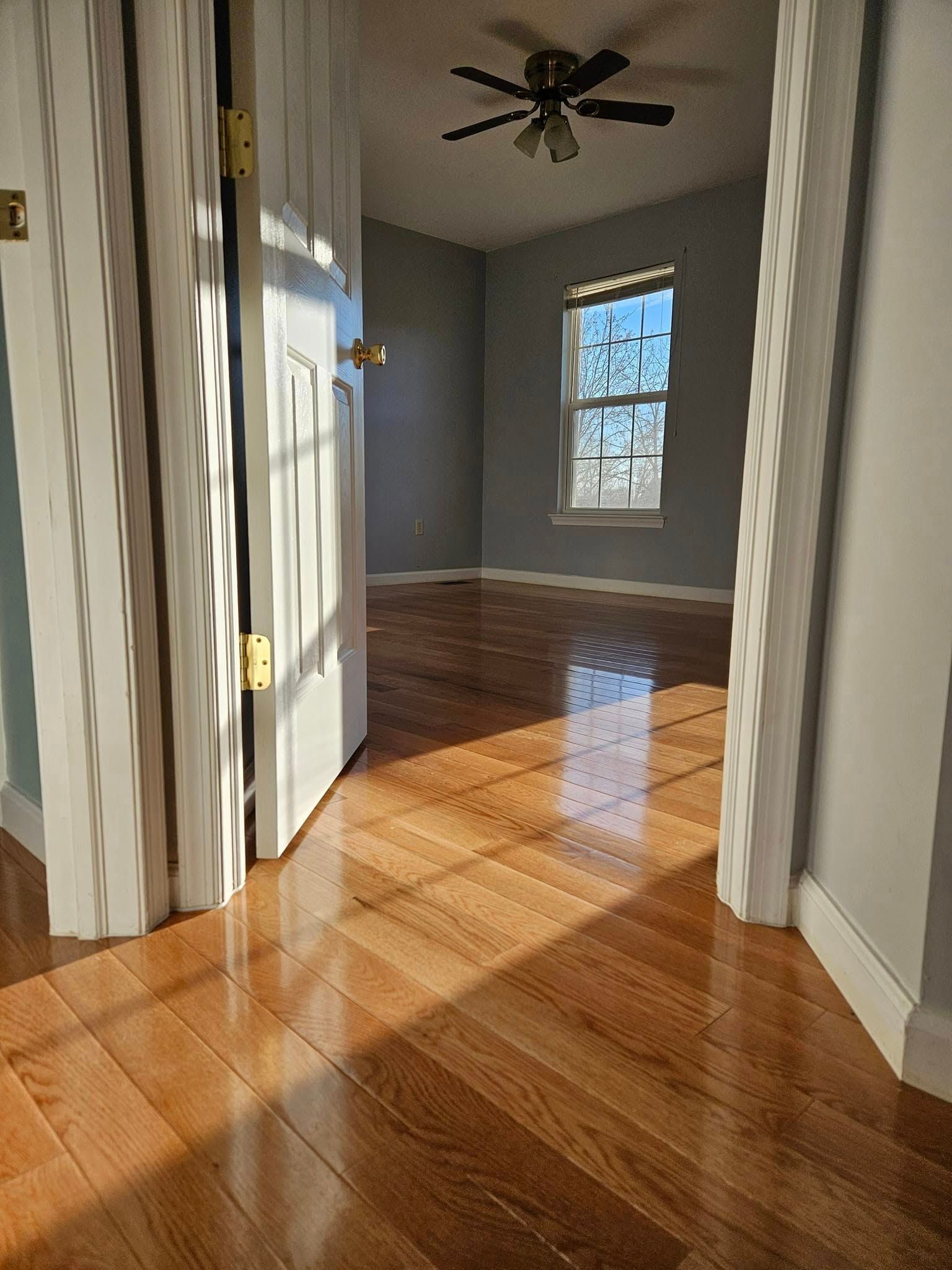 Empty hallway with sunlight on hardwood floors, leading to a room with a window and ceiling fan.