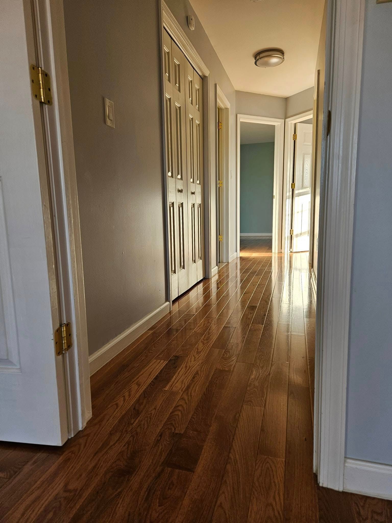 Narrow hallway with wood floors, gray walls, white doors, and a blue room at the far end.