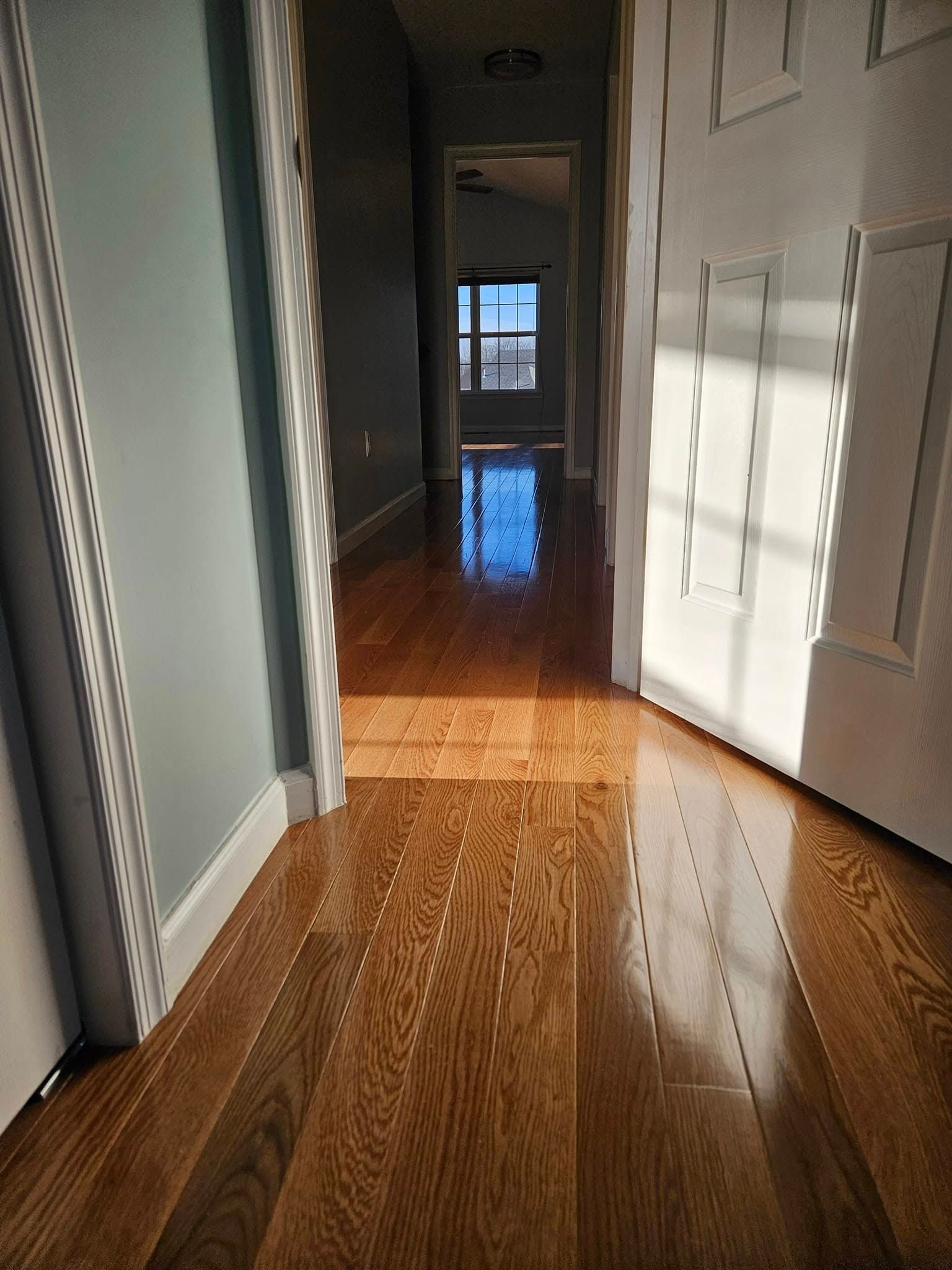 Empty hallway with sunlight on hardwood floor leading to a bright window at the end.