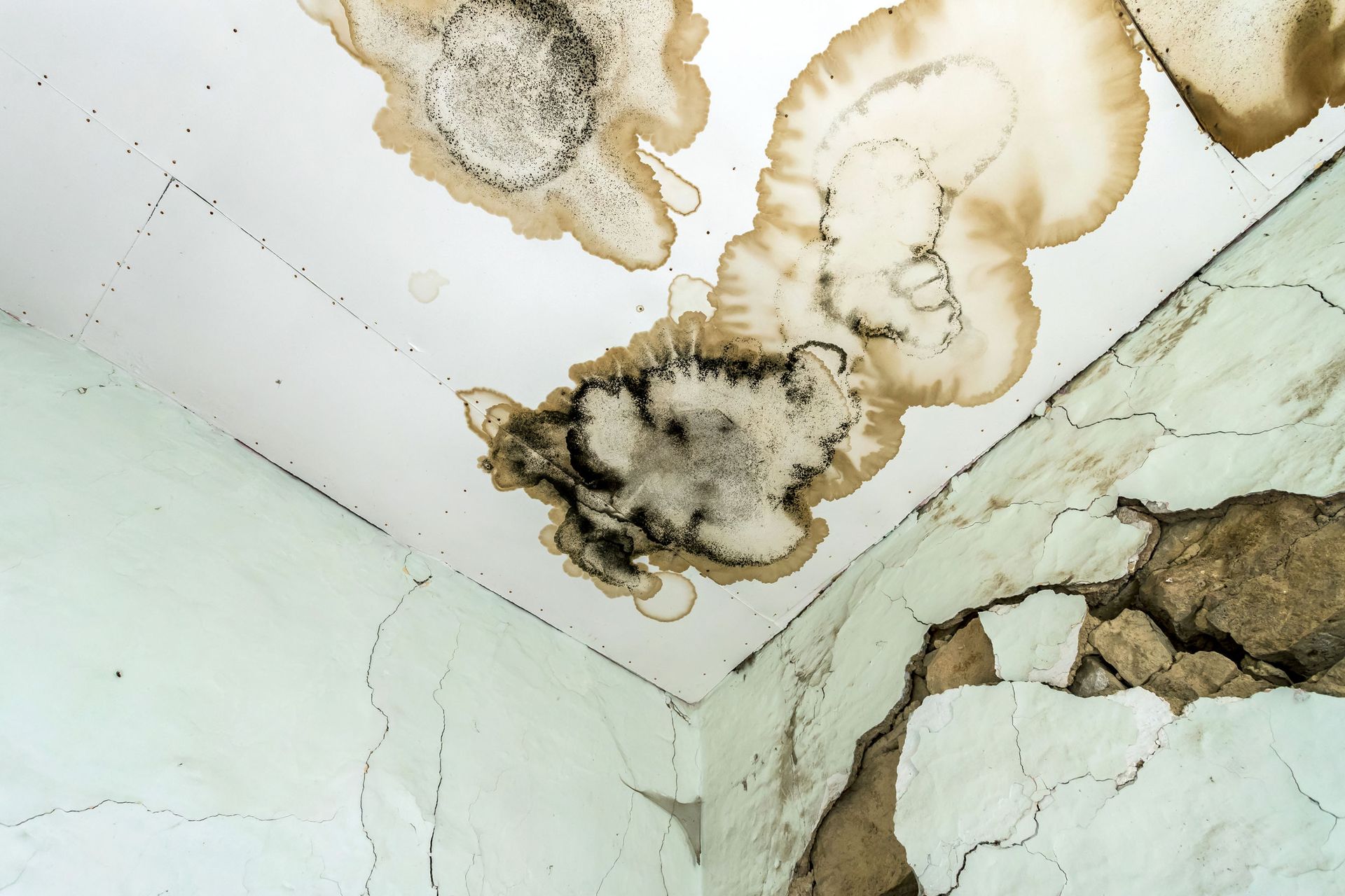 Mold and water damage on a white ceiling and corner wall with cracks.