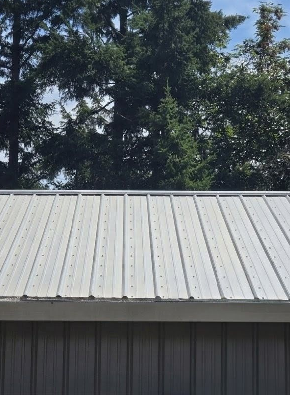 Metal roof beneath tall green trees against a blue sky