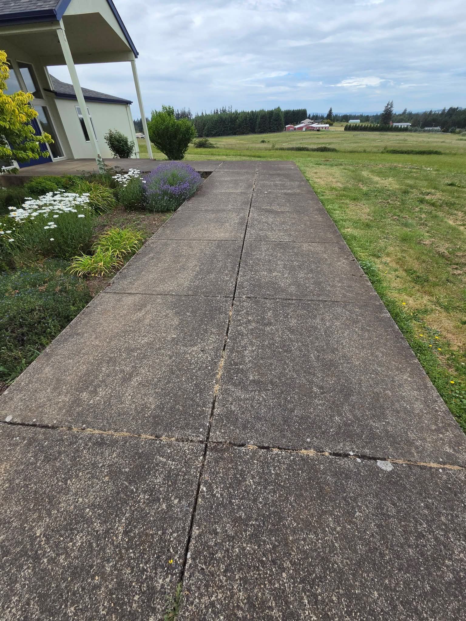 Concrete path beside a house and flower bed, leading toward open grassy fields under a bright sky.