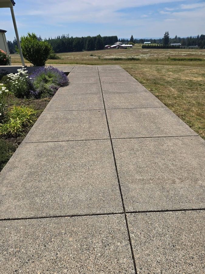 Concrete sidewalk beside flower bed and grassy field under a clear blue sky.