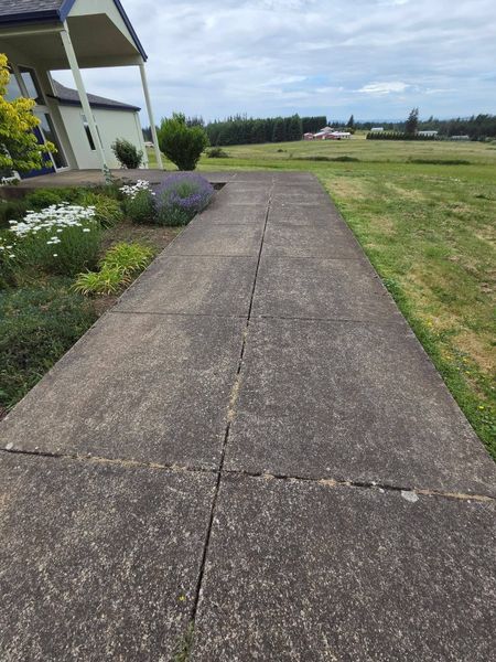 Concrete path beside a lawn and flower beds next to a house, leading toward open fields and trees.