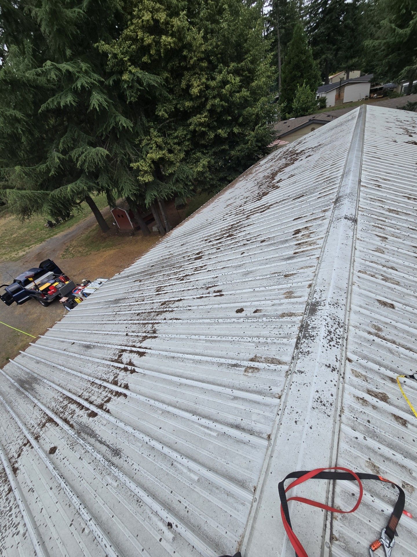 Rooftop with weathered metal panels and a red cord, overlooking trees and a small pile of tools below