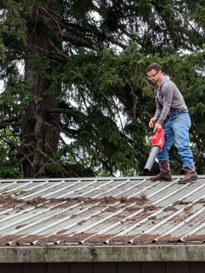Person using a leaf blower on a metal roof near tall trees