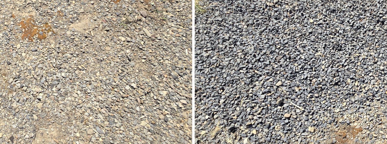 Untreated vs treated gravel, Oregon City yard