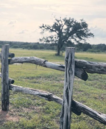 Weathered wooden fence in a grassy field with a lone tree in the distance at sunset