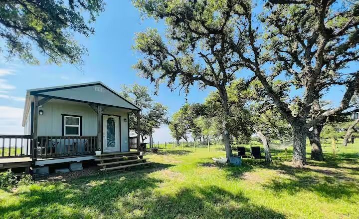 Small blue cabin under large oak trees in a sunny grassy yard