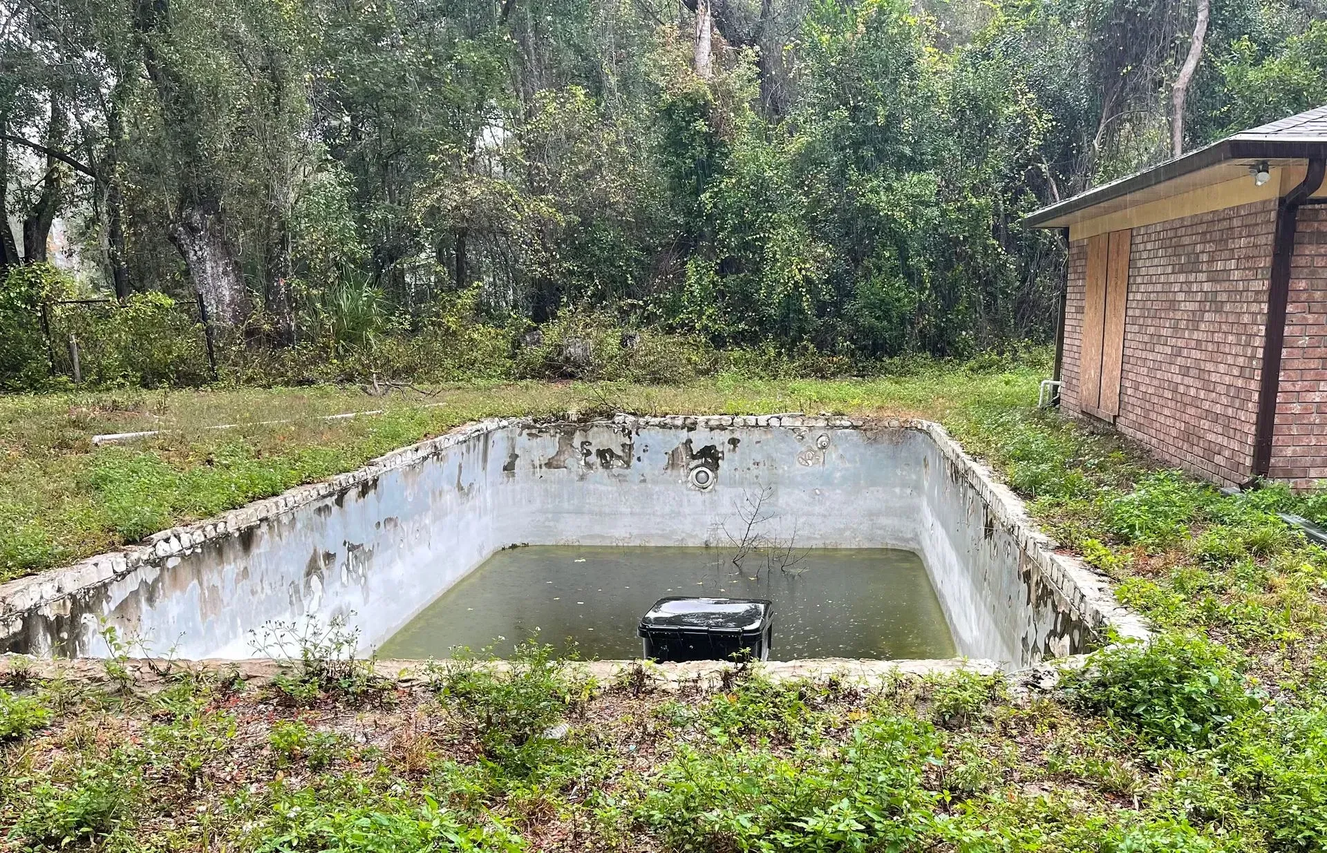 Empty rectangular concrete pool in a grassy yard beside a brick building, with trees in the background