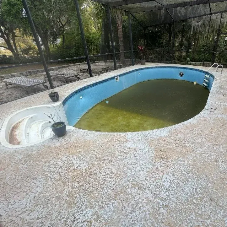 Empty, weathered outdoor pool with green water and a diving board, surrounded by a fence and trees