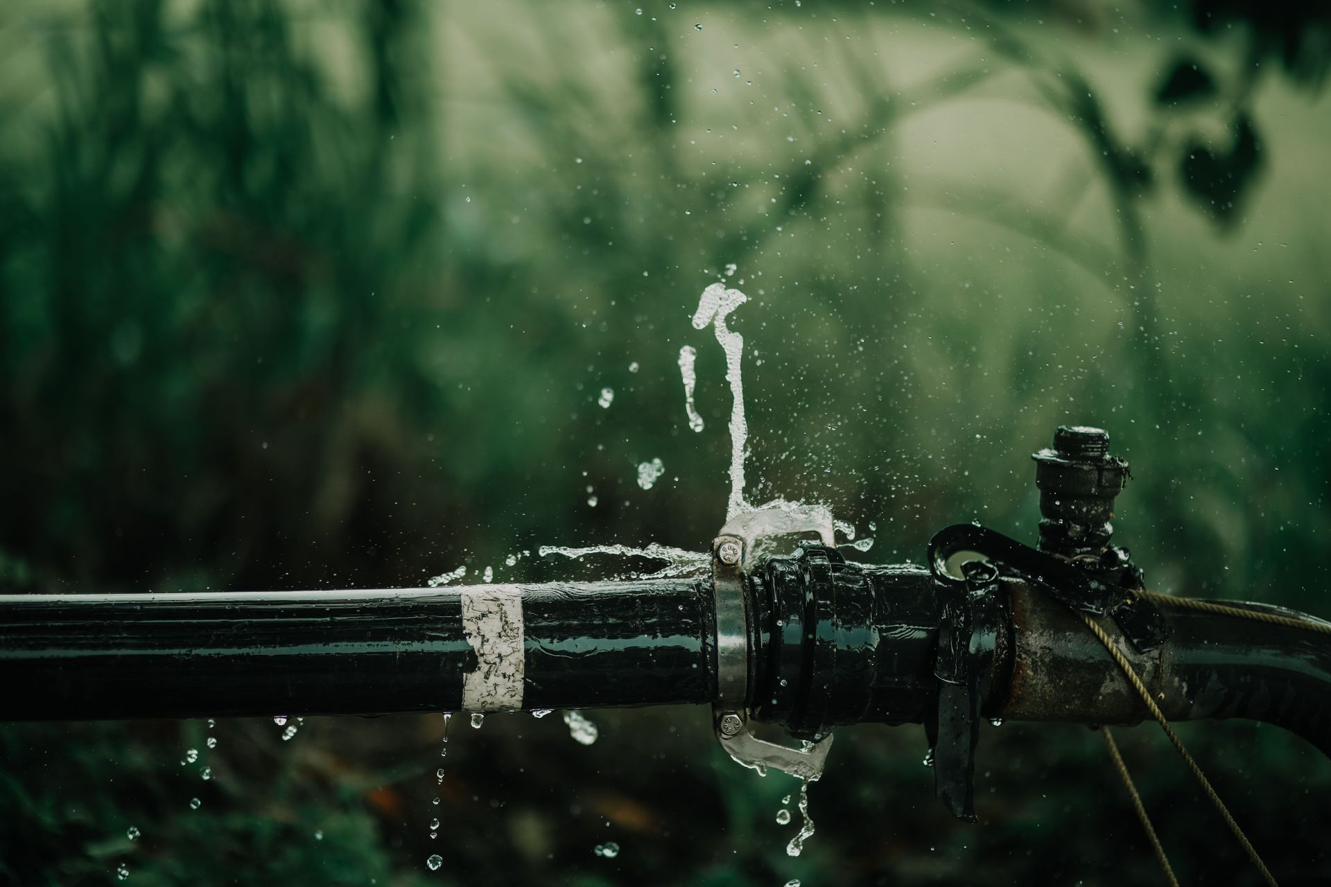 Water spraying from a black pipe amid green foliage in a rainy outdoor setting
