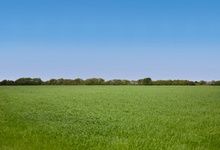 Vacant Land
